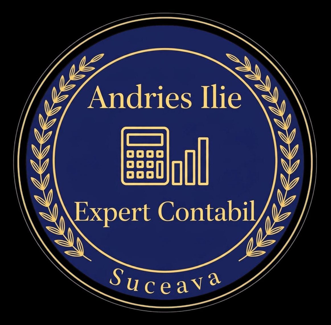 andries ilie expert contabil suceava romania membru ceccar